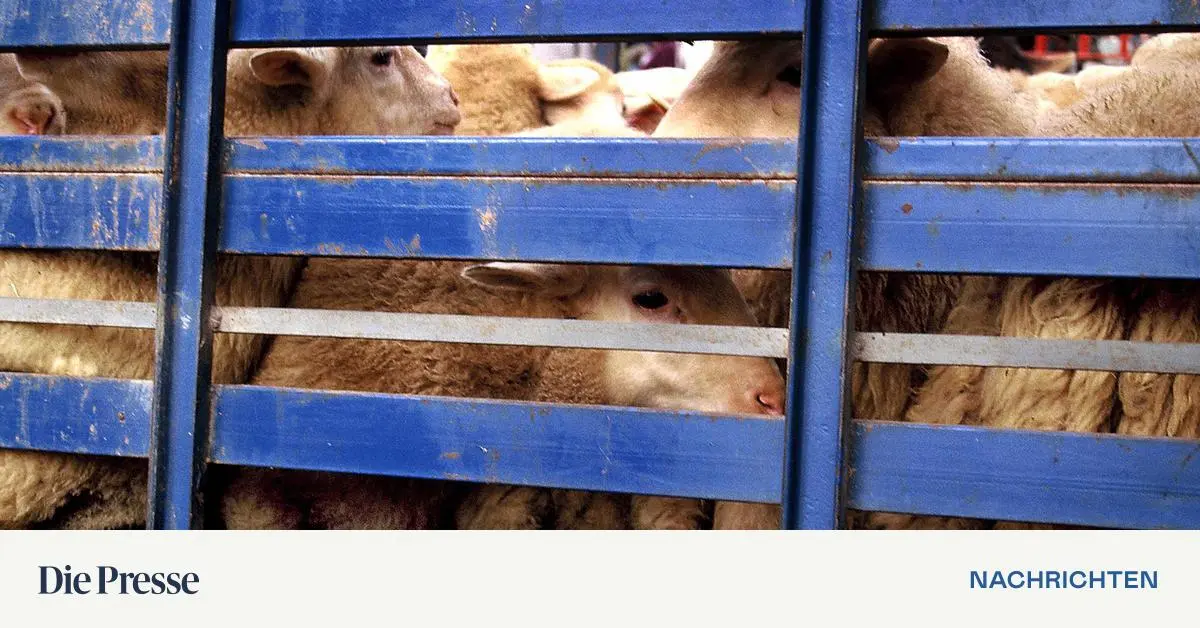EU will Regeln für Tiertransporte und Haustierhaltung verschärfen ...